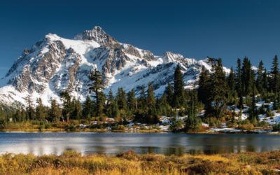 Press Release: New MAST Permit Course Provider in Washington!